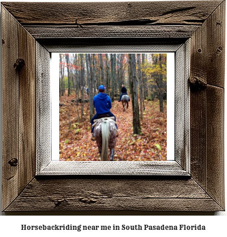 horseback riding near me in South Pasadena, Florida